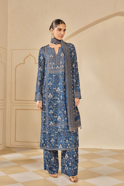 Niral Printed Silk Suit Set - Blue